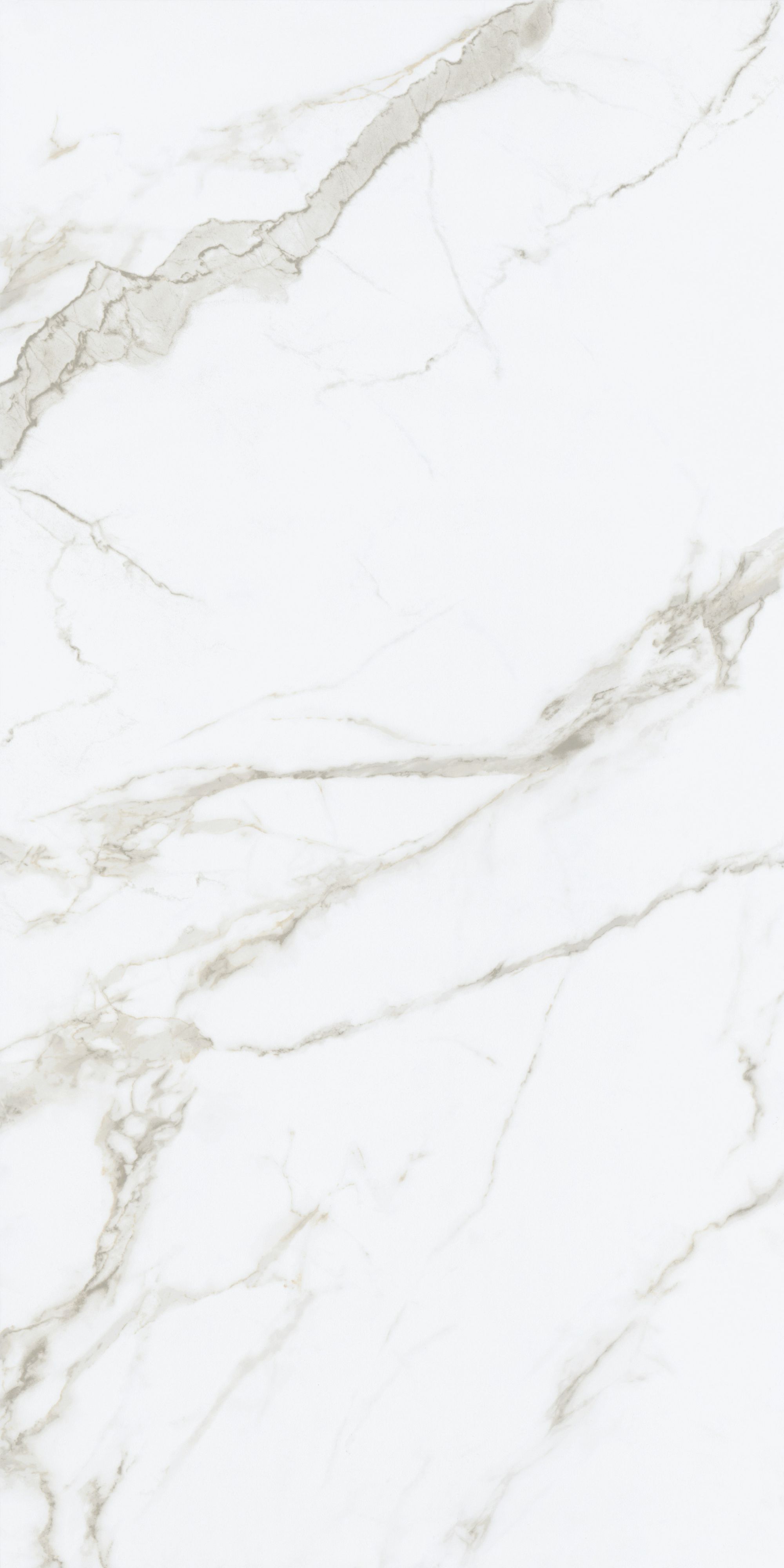 RT612049 卡拉拉白